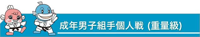 成年男子組手個人戦 (重量級)
