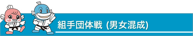 組手団体戦(男女混成)